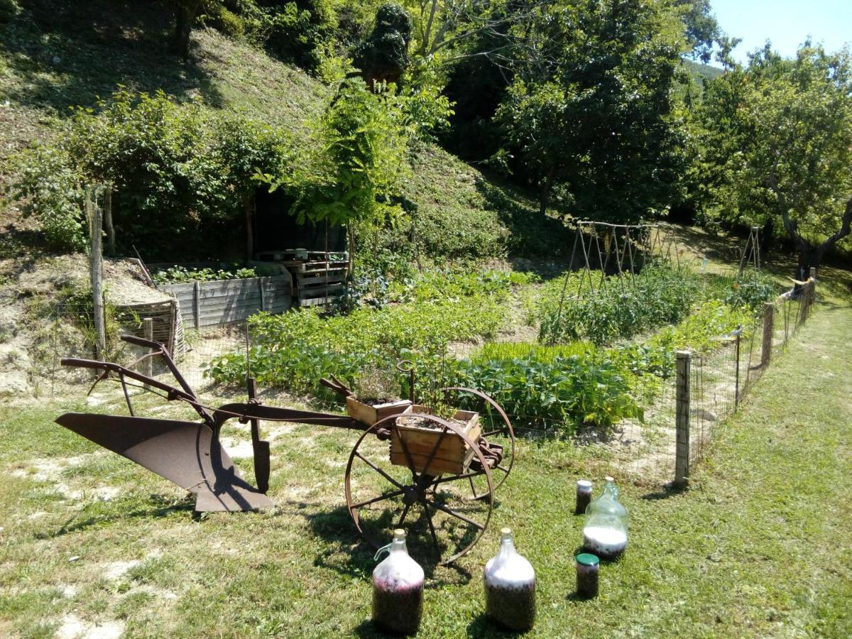 Bed & Breakfast Sentiero 54 Cantiano ภายนอก รูปภาพ