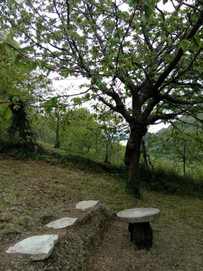 Bed & Breakfast Sentiero 54 Cantiano ภายนอก รูปภาพ